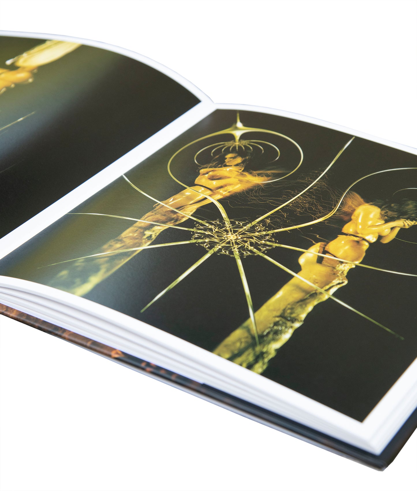 THE PARTICLE TAROT : THE MINOR ARCANA | DAVE MCKEAN